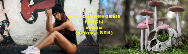 бошки Бугульма