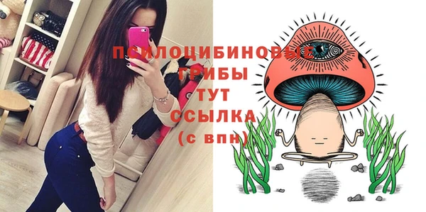 мяу мяу мука Бородино