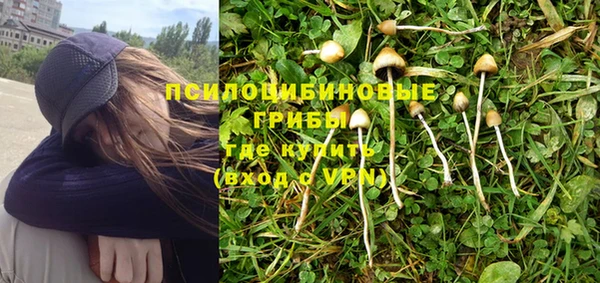 бошки Бугульма