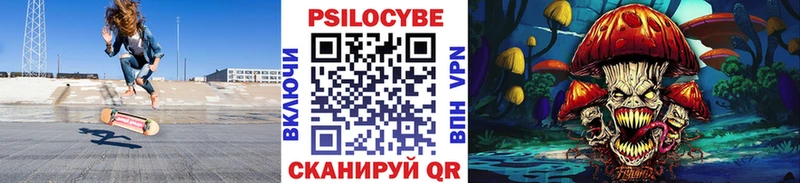 Купить где  Суджа  Галлюциногенные грибы прущие грибы 